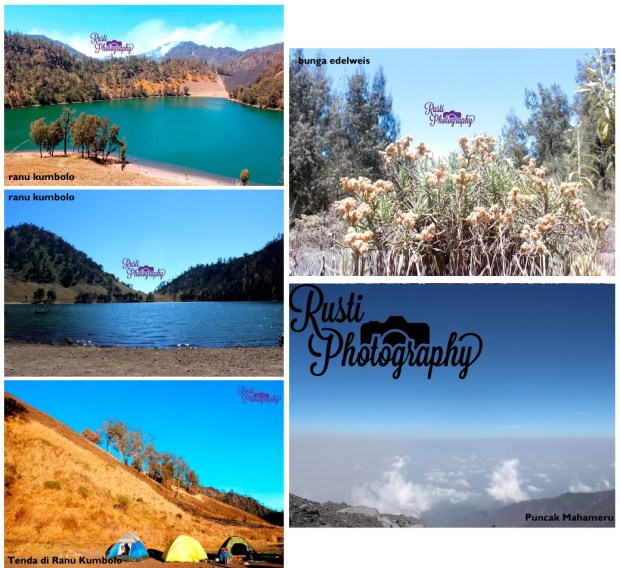 semeru-3676-mdpl