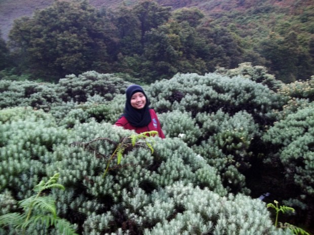 papandayan-30032013-15