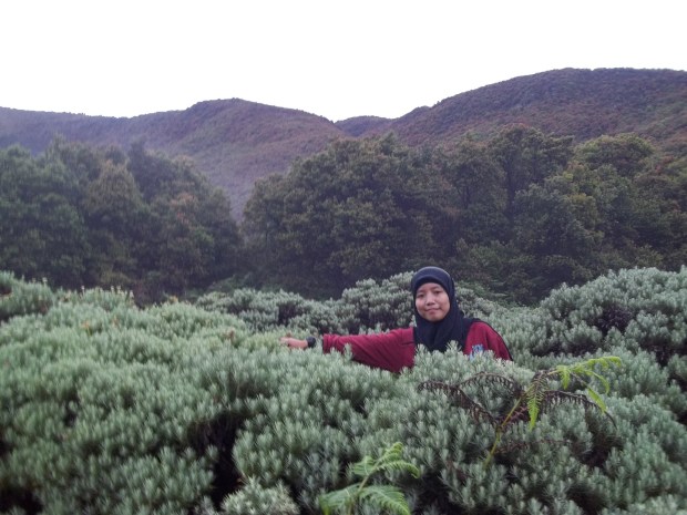 papandayan-30032013-8