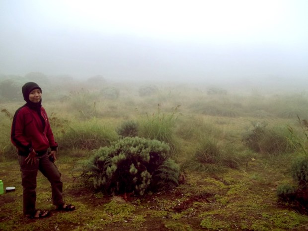 papandayan-9